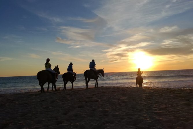 Stunning Sundown Beach Ride ... on horseback! - Reviews: Praise for the Guides, Horses, and Views