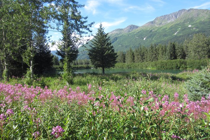 Stunning Turnagain Arm Tour: "A Must See Destination" - Exploring the Scenic Stops of the Turnagain Arm Tour