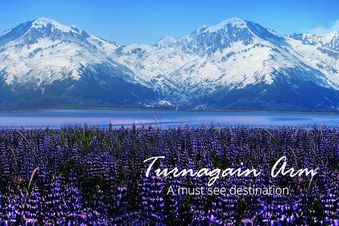 Stunning Turnagain Arm Tour: "A Must See Destination" - Portage Valley and Glacier Viewing