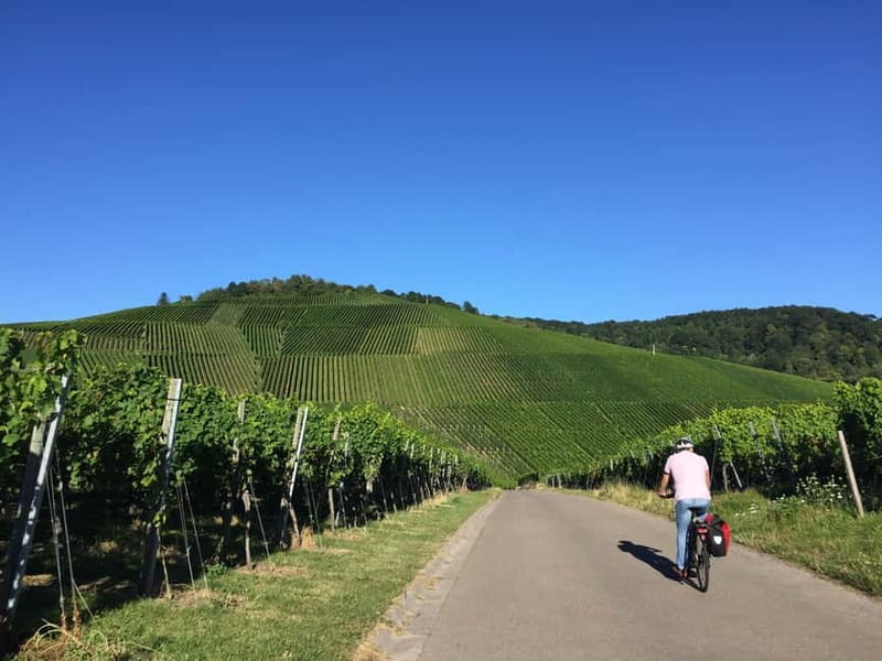 Stuttgart: E-bike wine tour including tasting - Key Points