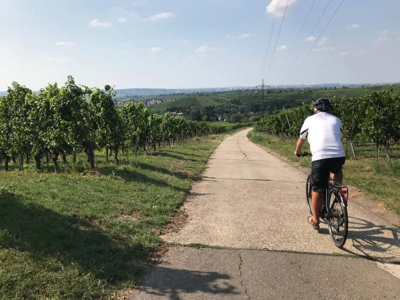 Stuttgart: E-bike wine tour including tasting - Practical Details and Logistics