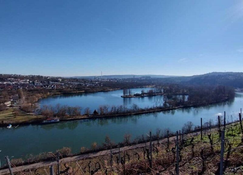 Stuttgart: Glow in the dark LED tour with Aquaman - The Glow in the Dark Experience with Aquaman in Stuttgart