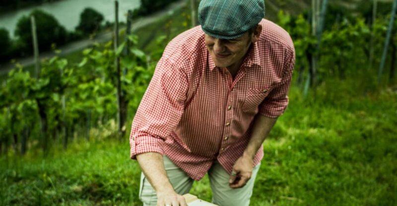 Stuttgart: Guided Vineyards Tour - Scenic Views and Photo Opportunities Along the Vineyards