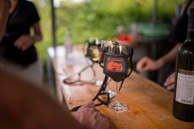 Stuttgart: Guided Vineyards Tour - Practical Details: Meeting Point, Group Size, and Flexibility