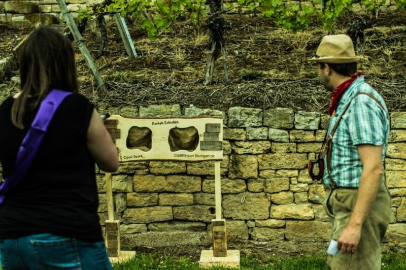 Stuttgart: Guided Vineyards Tour - The Role of the Guide and Cultural Insights