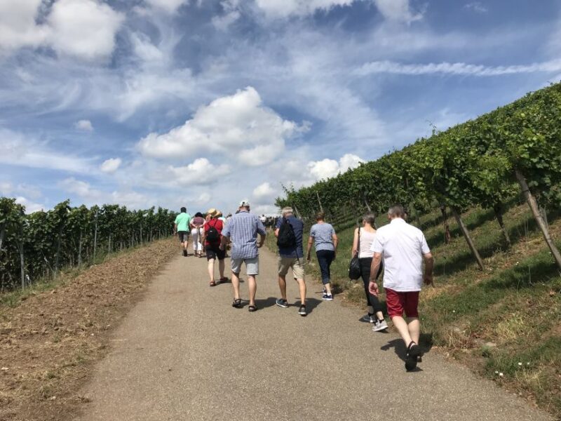 Stuttgart: Guided Wine Walk & Wine Tasting - Meet and End at Flexible Meeting Points in Stuttgart