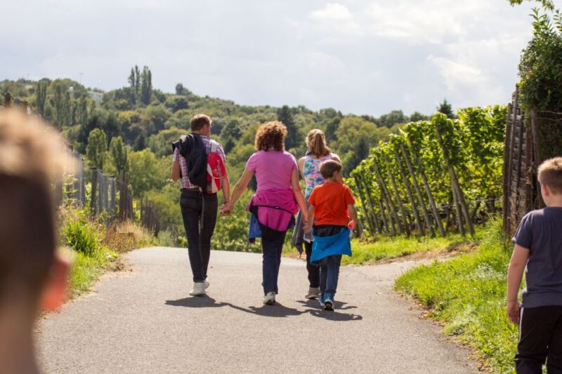 Stuttgart Nature Experience Day - Canoeing Along the Neckar River – Scenic Waterway Adventure