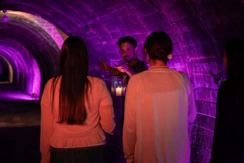 Stuttgart: Premium wine tasting experience with snacks in the vault - Explore Stuttgart’s Unique Wine Vaults and Cellars