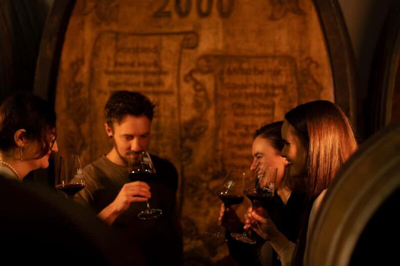 Stuttgart: Premium wine tasting experience with snacks in the vault - Key Points