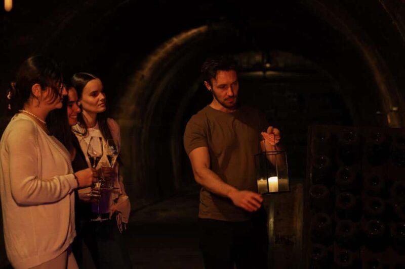 Stuttgart: Premium wine tasting experience with snacks in the vault - The "Treasure Chamber" and Exclusive Bottlings