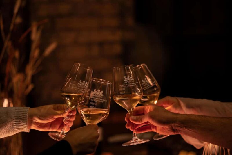 Stuttgart: Premium wine tasting experience with snacks in the vault - Logistics and Practical Details