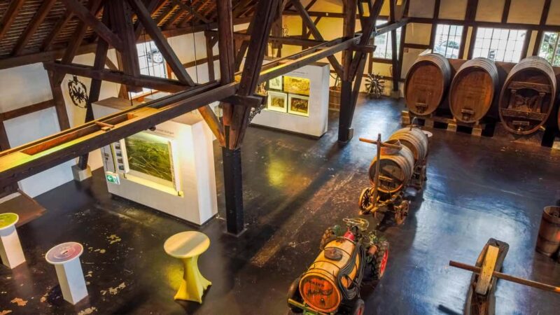 Stuttgart: Stuttgart Wine Museum Wine Tasting - Who Will Enjoy This Tour Most?