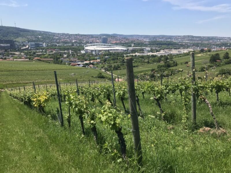 Stuttgart: Wine Tour with wines of the best winemakers - Explore Stuttgart’s Hidden Vineyard at Herzogenberg