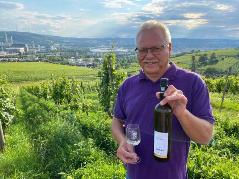 Stuttgart: Wine Tour with wines of the best winemakers - Key Points