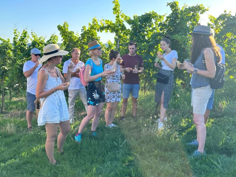 Stuttgart: Wine Tour with wines of the best winemakers - Practical Details: Meeting Point and Duration