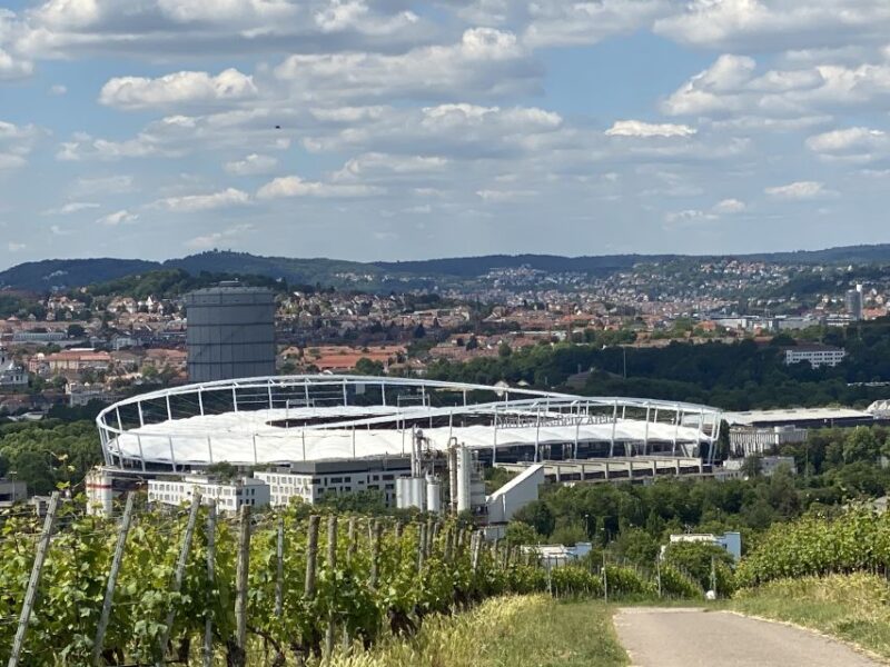Stuttgart: Wine Tour with wines of the best winemakers - The Guide and Tour Experience