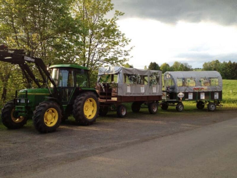 Stuttgart: Winter sleigh covered wagon tour - Discover the Charm of Stuttgart’s Winter Covered Wagon Tour for $44