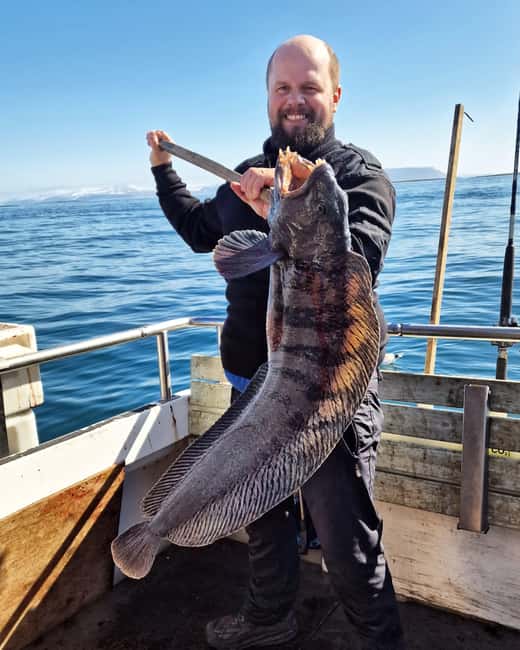 Stykkishólmur: Sea Angling Tour with Local Guide - The Fishing Experience and Catch Variety