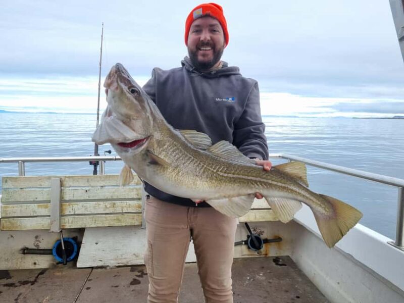 Stykkishólmur: Sea Angling Tour with Local Guide - The Small Group Advantage and Personal Service