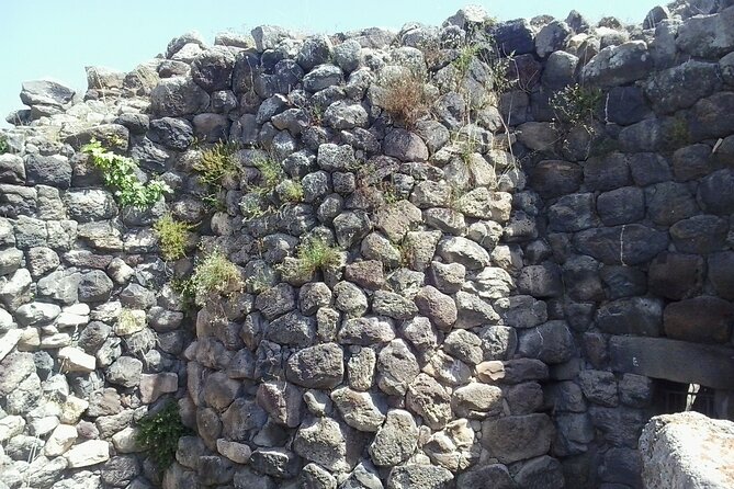 Su Nuraxi of Barumini World Heritage UNESCO site Tour - Why This Tour Stands Out