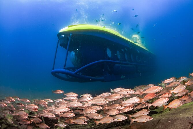 SUBMARINE ADVENTURE - Submarine Excursion in Puerto de Mogán - Explore Gran Canaria’s Underwater World with a Submarine Trip for $45