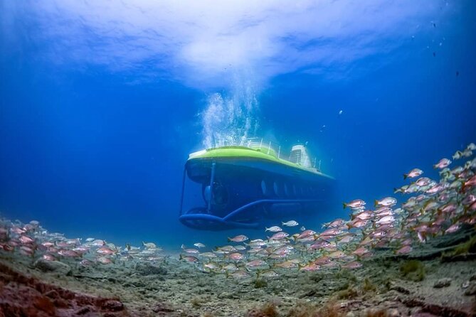 SUBMARINE ADVENTURE - Submarine Excursion in Puerto de Mogán - Meeting Point and Accessibility in Puerto de Mogán