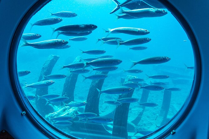 SUBMARINE ADVENTURE - Submarine Excursion in Puerto de Mogán - Practical Tips and Considerations