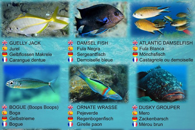 Submarine Safaris Lanzarote - The Submarine’s Size and Comfort