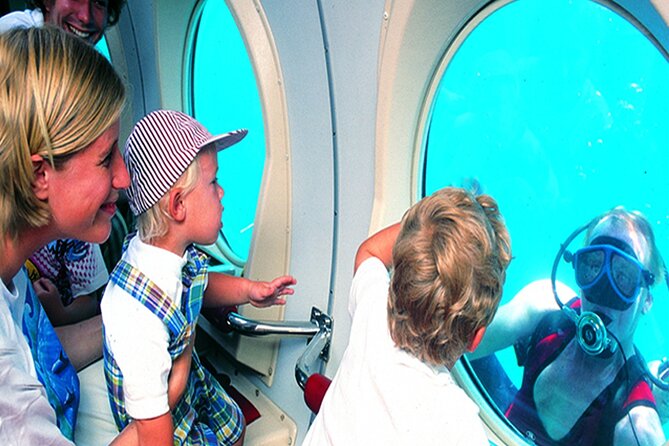 Submarine tour Tenerife: a 1 hour underwater experience - The Marine Life and Shipwrecks You Might Encounter