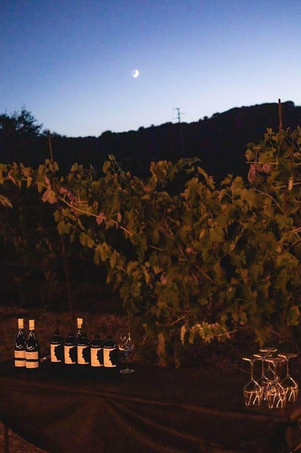 Sugano: Goblets at Sunset Experience - Key Points