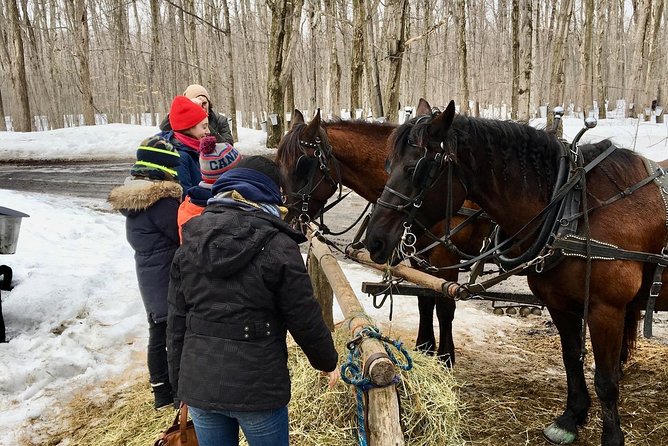 Sugar Shack (Feb to May) Maple Syrup Private Day Tour with lunch from Montreal - Flexibility and Cancellation Policy