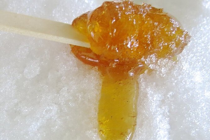 Sugar Shack Full Day Tour from Montreal - Expert Guides and Multilingual Commentary