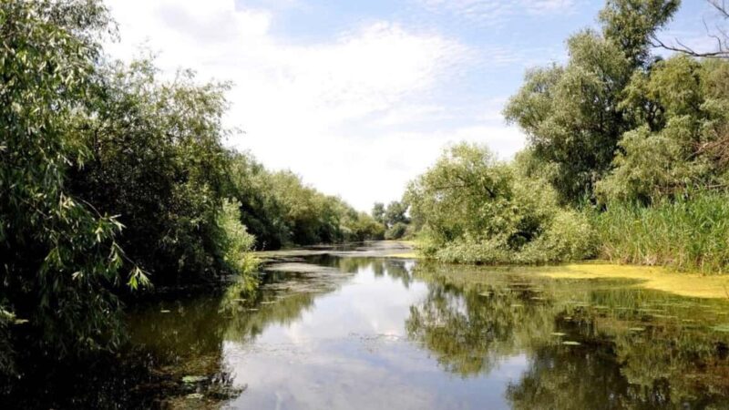 Sulina: Danube Delta Boat Tour with Wildlife Spotting - What Makes the Danube Delta Boat Tour Unique