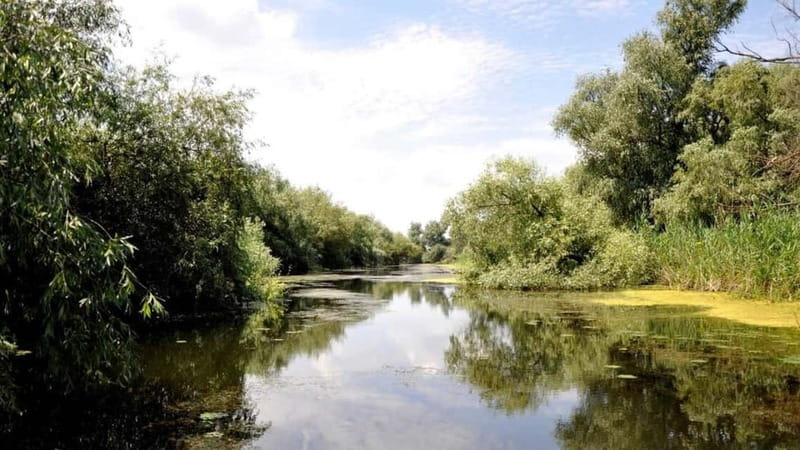 Sulina: Mila 23 Village Boat Trip in the Danube Delta - Discover Mila 23 on a 7-Hour Boat Trip from Sulina