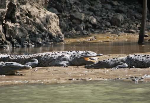Sumidero Canyon & Chiapa de Corzo: Day Tour from Tuxtla - Key Points