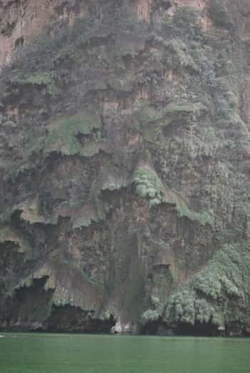 Sumidero Canyon & Chiapa de Corzo from San Cristobal - What’s Included and What to Bring