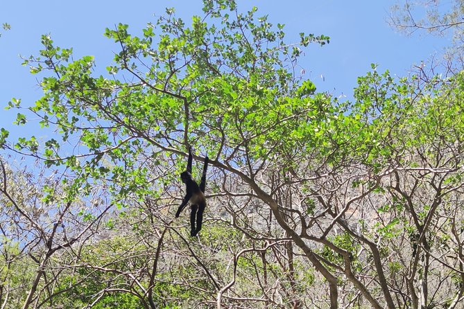Sumidero Canyon & Chiapa de Corzo from Tuxtla & San Cristobal - Food, Drinks, and Lunch Options