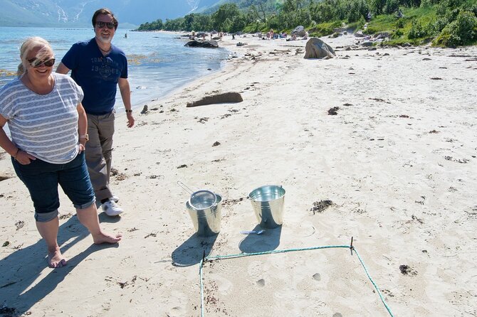 Summer Fjord Road Trip with Citizen Science with Wandering Owl - Tromsø’s Sunshine and Fjords in Arctic Summer