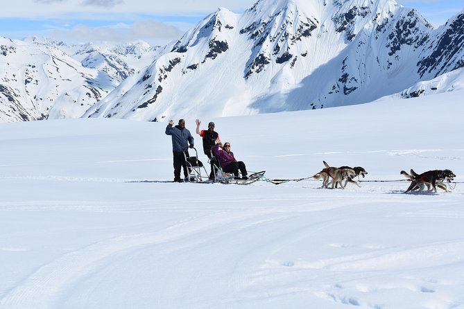 Summer Glacier Dogsledding Tour from Girdwood - Accessibility and Physical Requirements