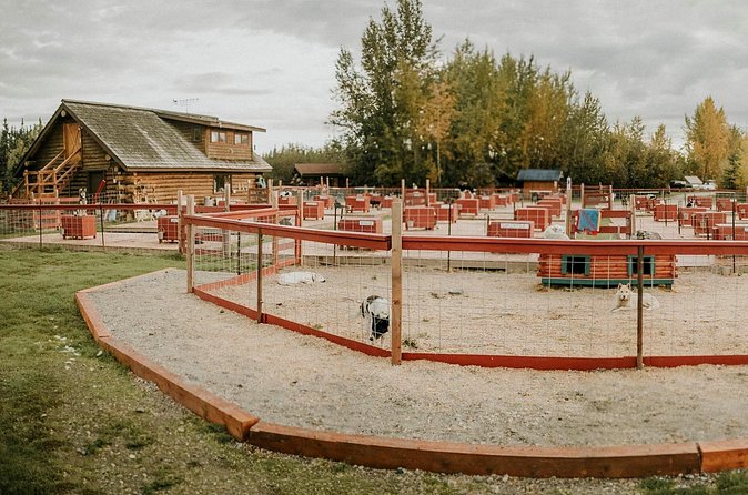 Summer Kennel Visit at Historic Trail Breaker Kennel - Practical Tips for a Successful Visit