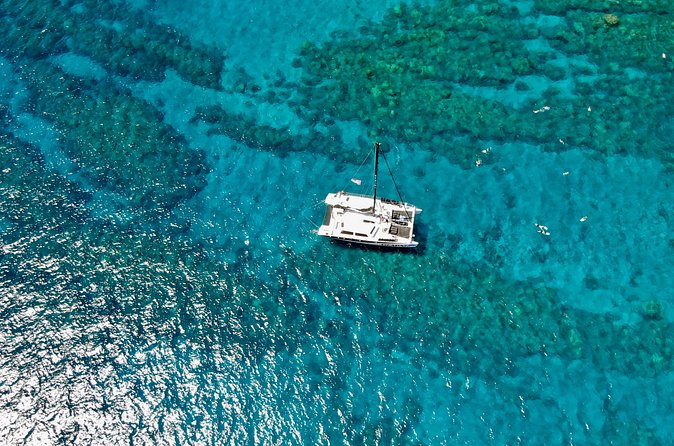Summer Morning Express Snorkel Adventure off Ka'anapali Beach - The Marine Life You Can Expect to See