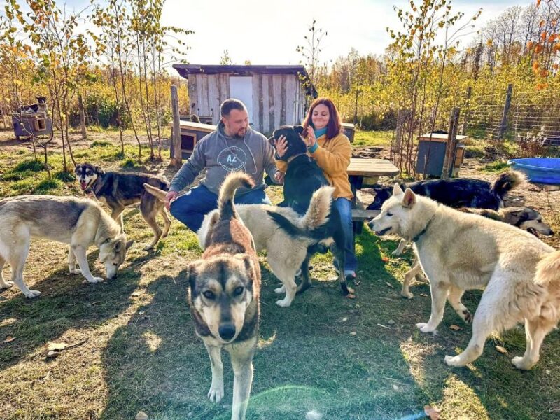 Summer Sled Dog Kennel Tour - Key Points