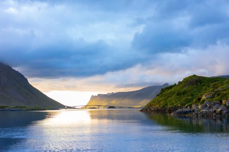 Summer Snorkeling with Grey Seals - Pacing, Physical Requirements, and Accessibility
