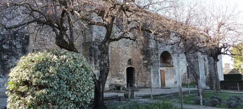 Summer Tour, 4 Days/3 Nights, Discover Provence by Electric Bike - Practical Logistics and Comfort