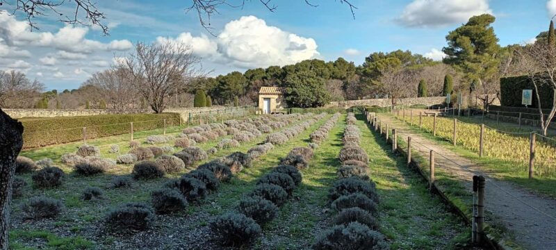 Summer Tour, 4 Days/3 Nights, Discover Provence by Electric Bike - Frequently Asked Questions