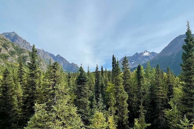 Summer Valley and Forest Hike - Why This Tour Stands Out in Anchorage