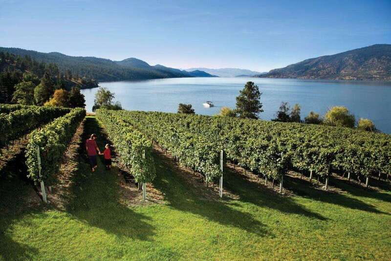 Summerland: Full-Day Wine Tour with Tastings - Key Points