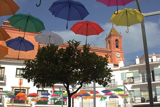 Sun and Wine Route - Small group, wine tasting and lunch included - Lunch in Sayalonga with Local Flavors and a Glass of Wine