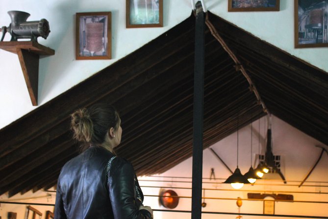 Sun and Wine Route - Small group, wine tasting and lunch included - Practical Details: Transportation, Group Size, and Accessibility