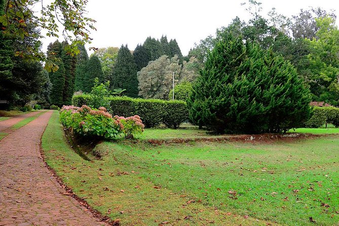 Sunday Market and Gardens Tour - Visiting Camacha: Madeira’s Willow Craft Hub